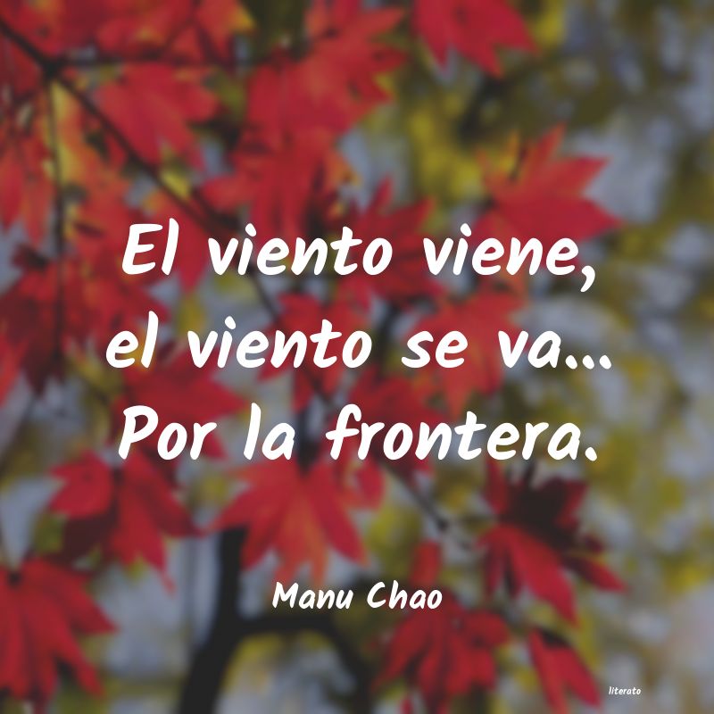 Frases de Manu Chao