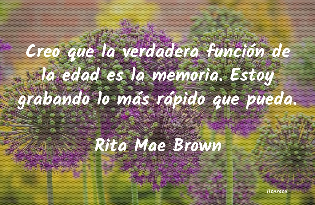 Frases de Rita Mae Brown