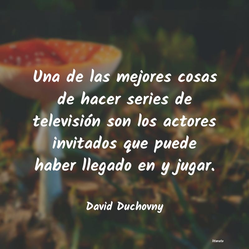 Frases de David Duchovny
