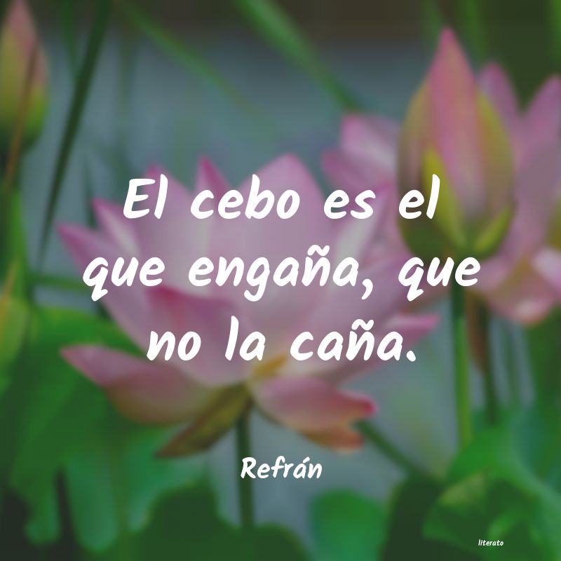 Frases de Refrán