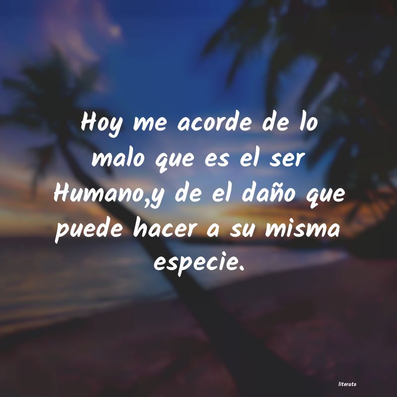frases