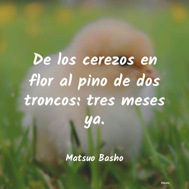 Frases de Matsuo Basho