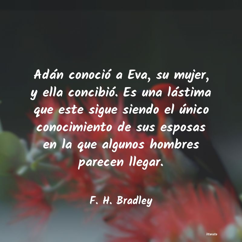 Frases de F. H. Bradley