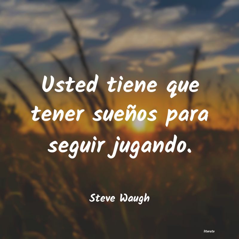 Frases de Steve Waugh