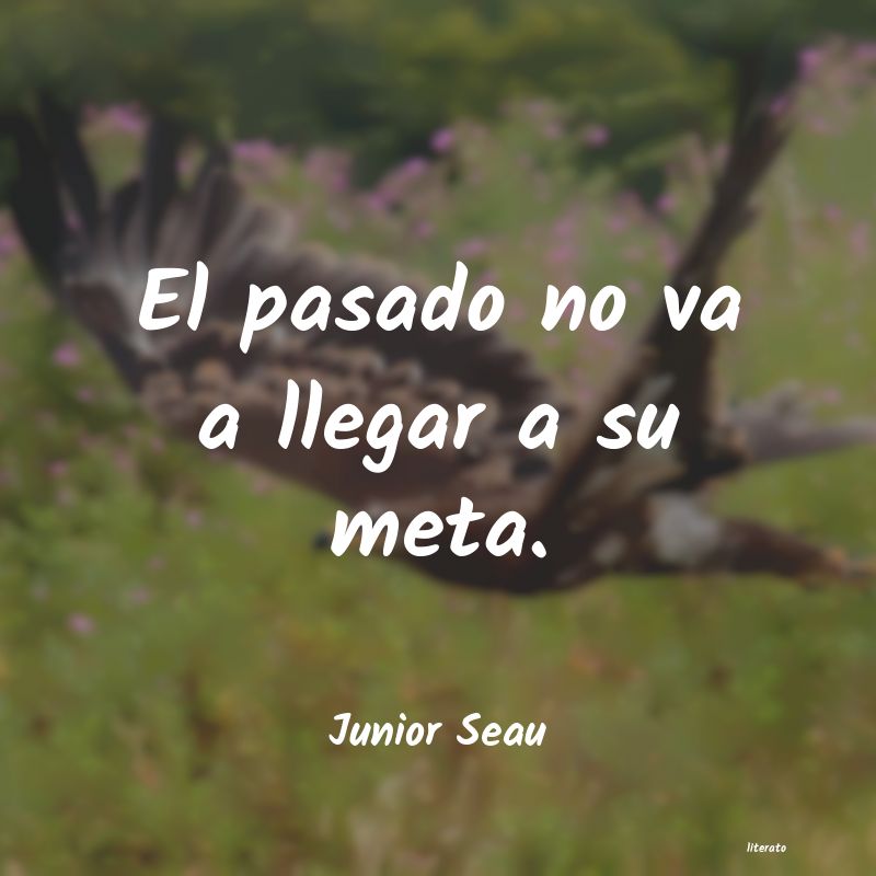 frases de Junior Seau