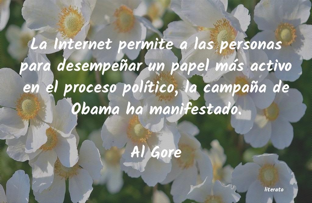 Frases de Al Gore