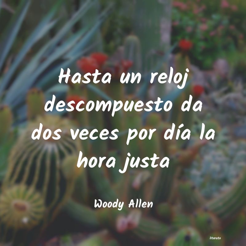 Frases de Woody Allen