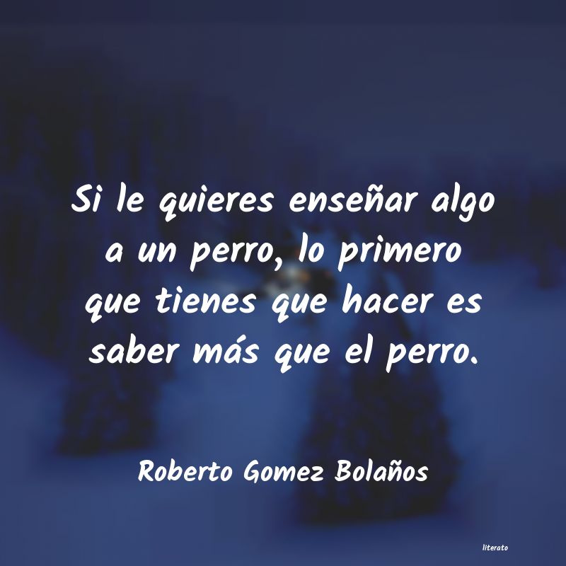 Frases de Roberto Gomez Bolaños