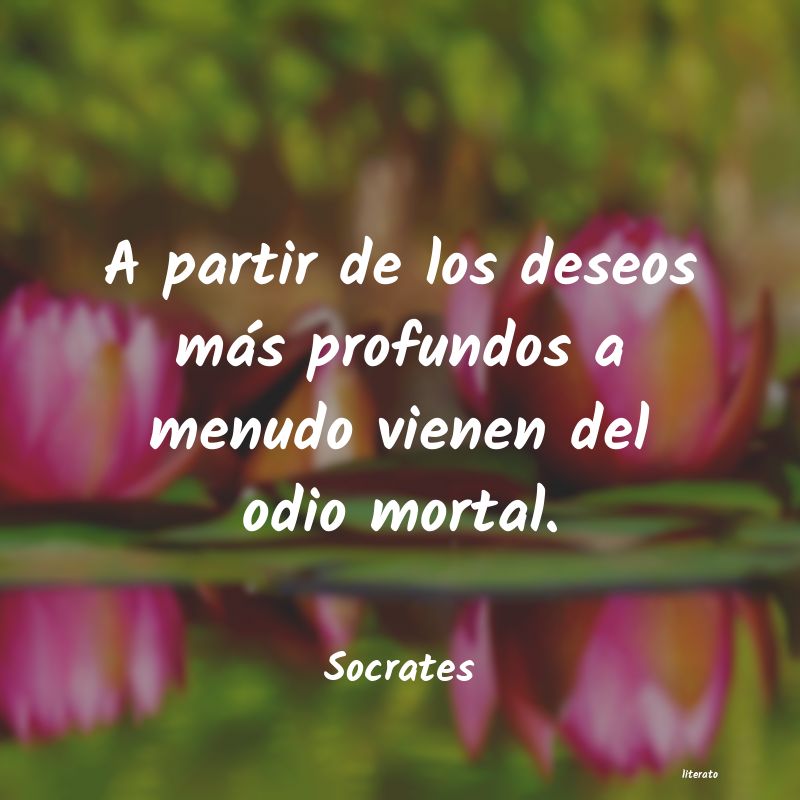 Frases de Socrates