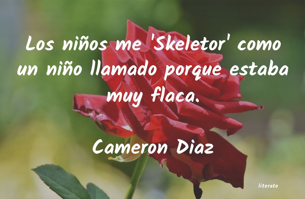 frases de Cameron Diaz