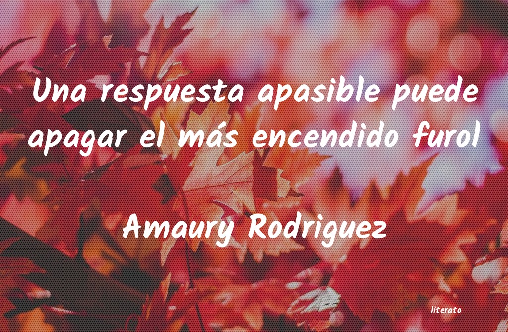 frases de Amaury Rodriguez