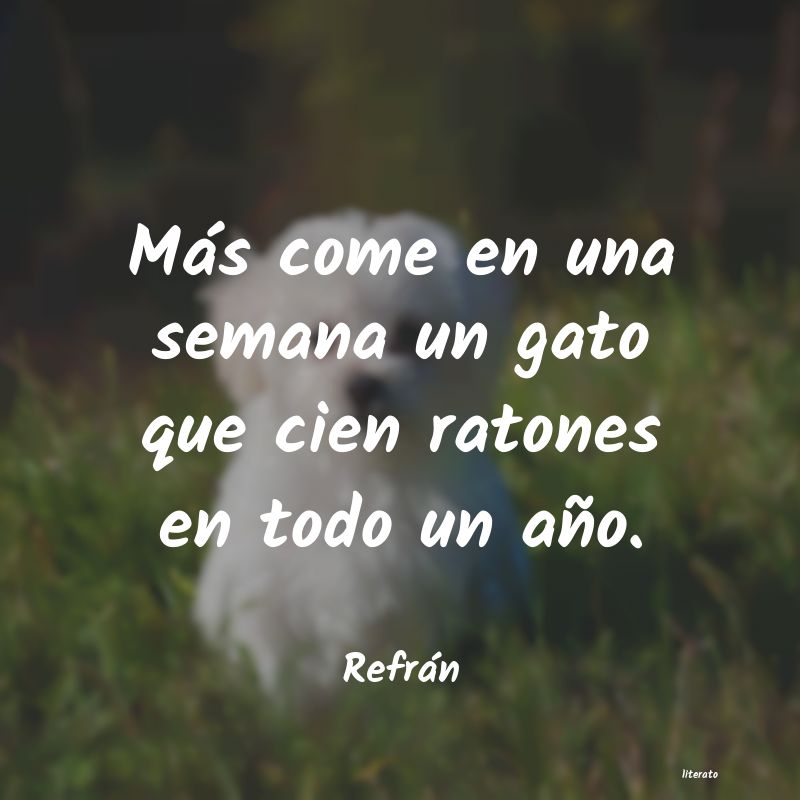 Frases de Refrán