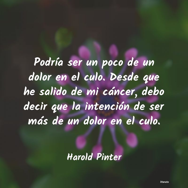 Frases de Harold Pinter