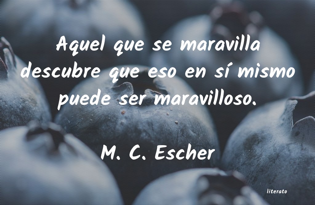 Frases de M. C. Escher