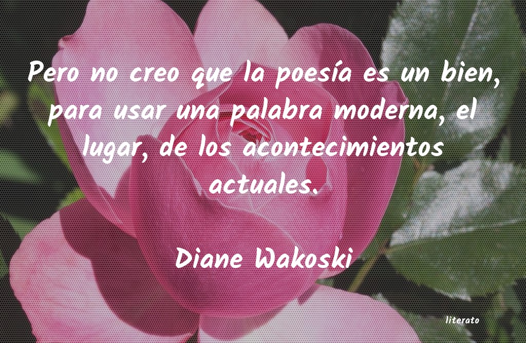 Frases de Diane Wakoski