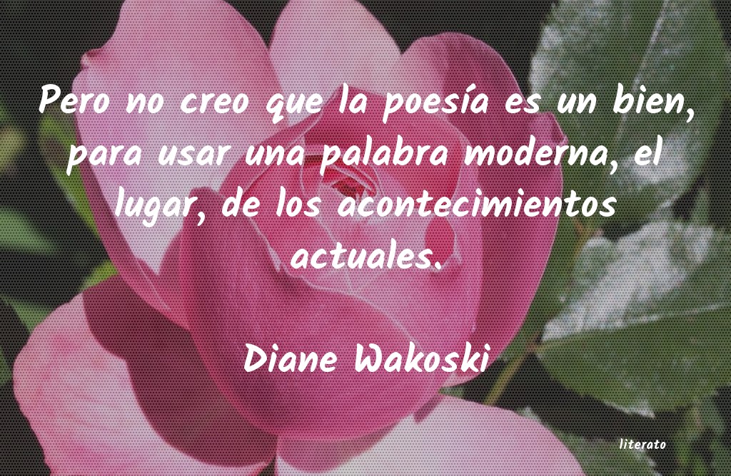 frases de Diane Wakoski