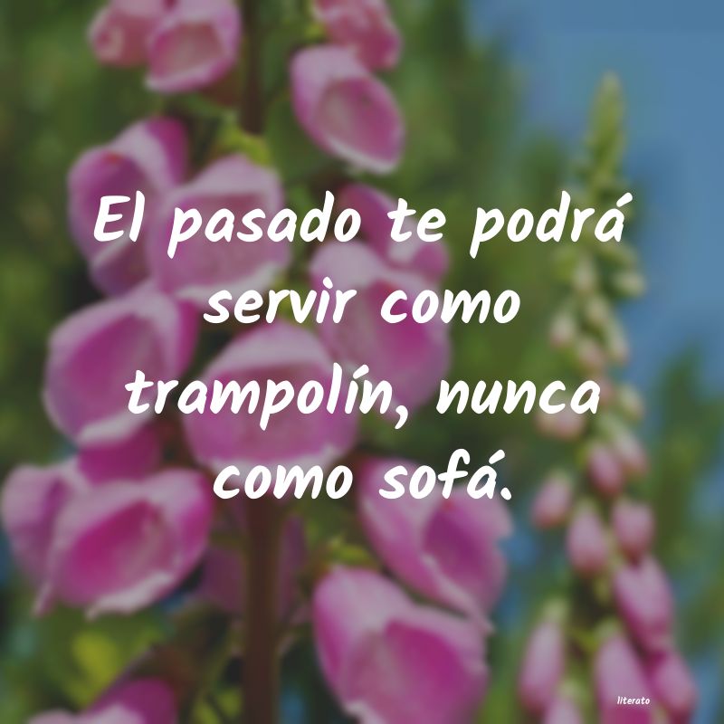frases