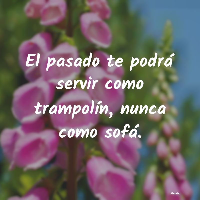 Frases de 