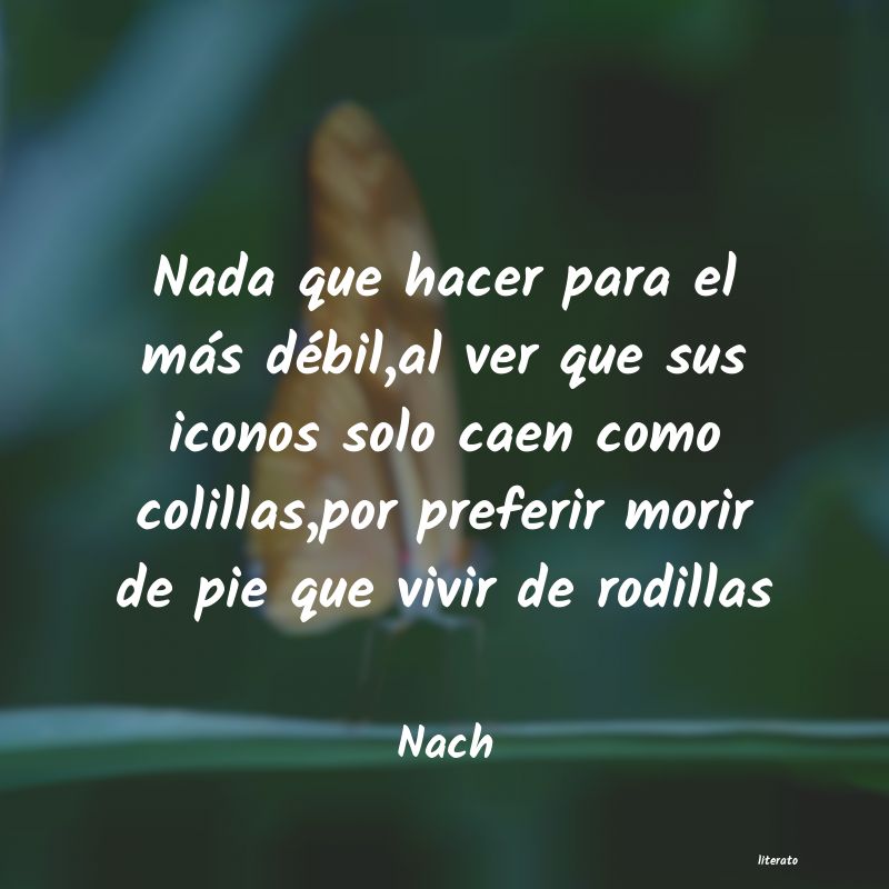 Frases de Nach