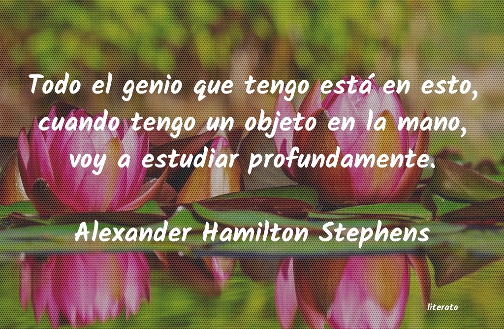 Frases de Alexander Hamilton Stephens