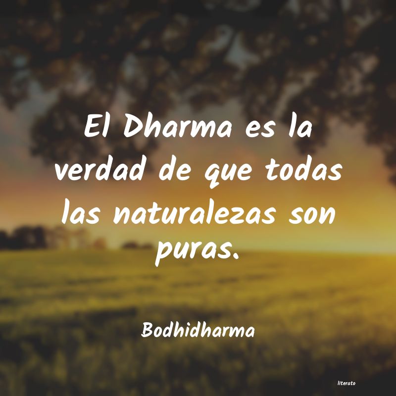 Frases de Bodhidharma