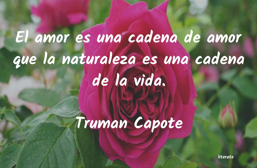 Frases de Truman Capote