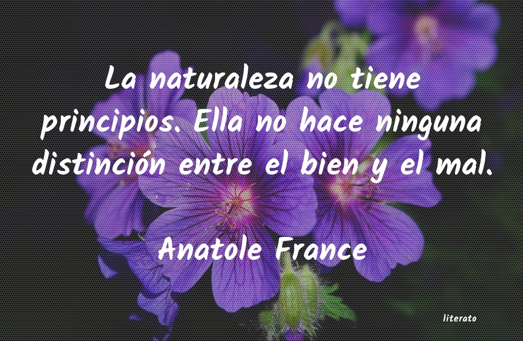 Frases de Anatole France