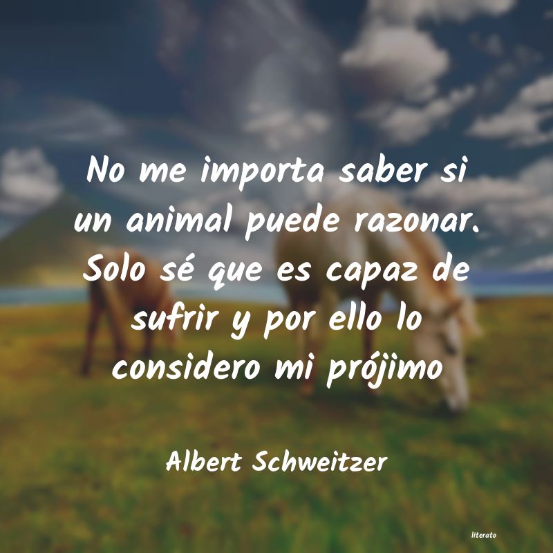 Frases de Albert Schweitzer