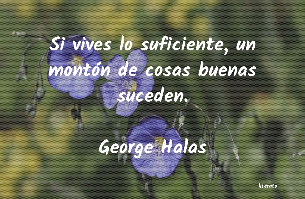Frases de George Halas