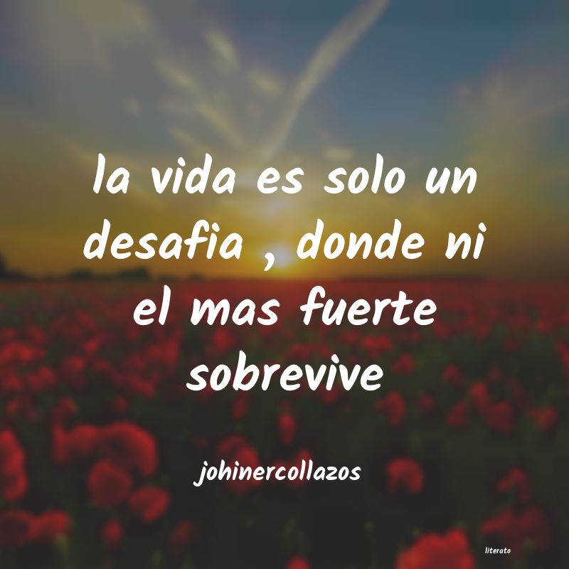 Frases de johinercollazos