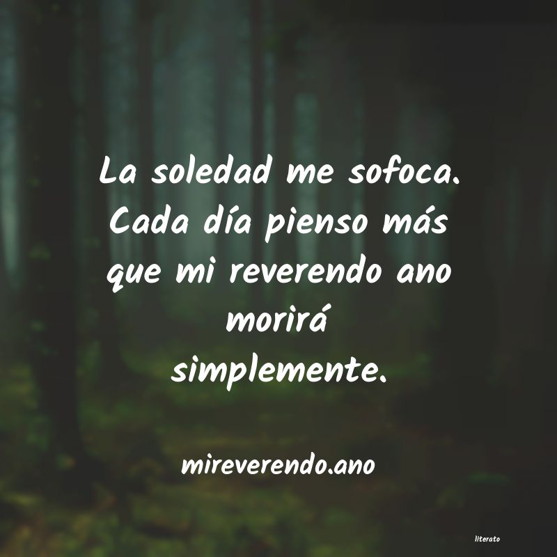 frases de mireverendo.ano