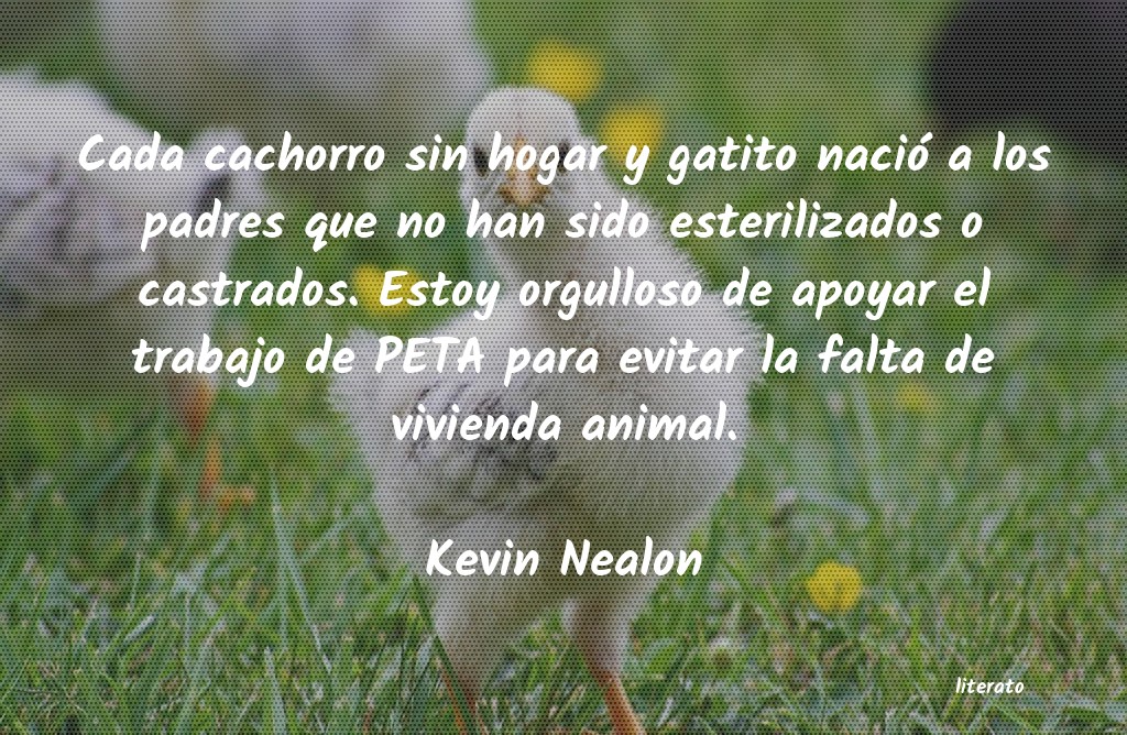 Frases de Kevin Nealon