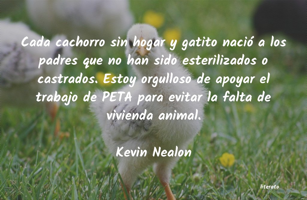 frases de Kevin Nealon