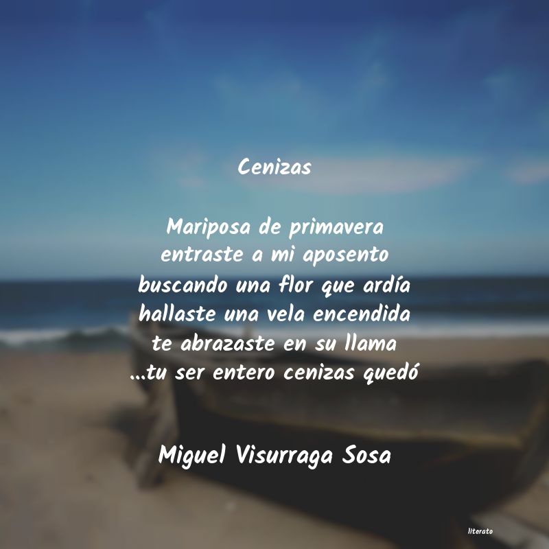 Frases de Miguel Visurraga Sosa