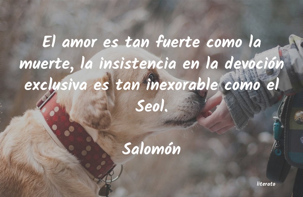 Frases de Salomón