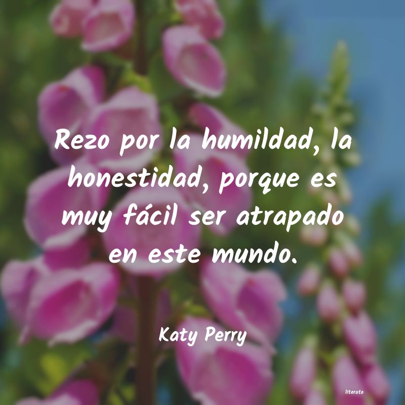 frases de honestidad o humildad