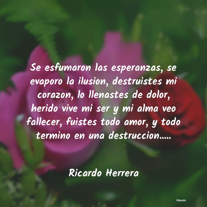 Frases de Ricardo Herrera