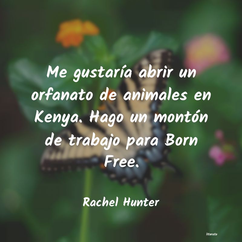 Frases de Rachel Hunter