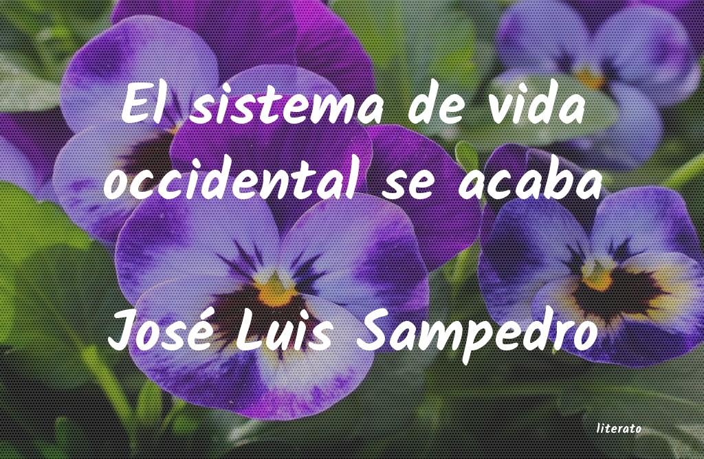 Frases de José Luis Sampedro