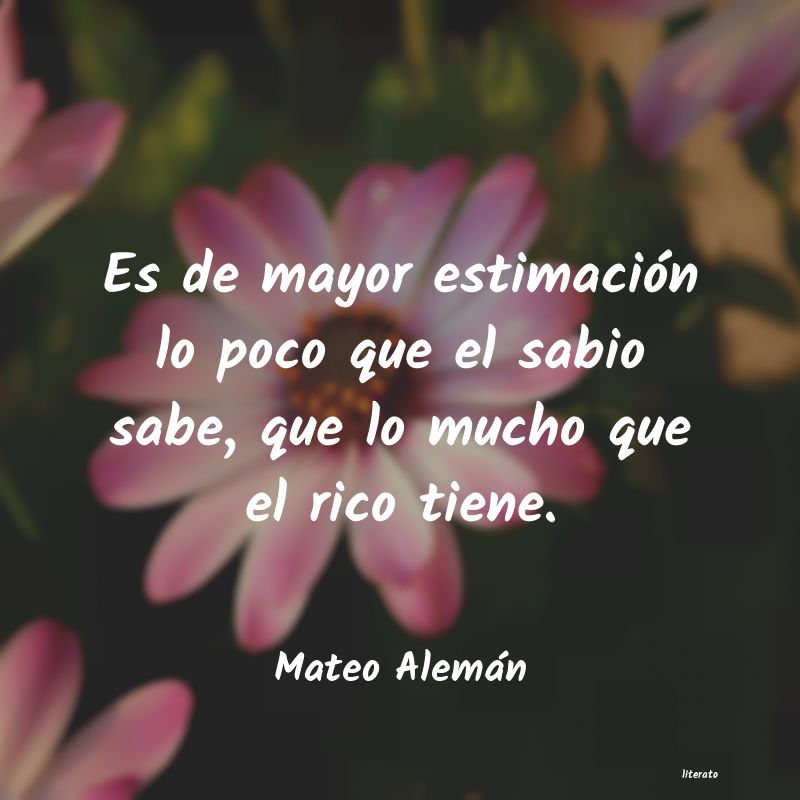 Frases de Mateo Alemán