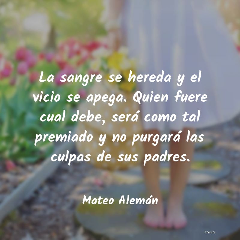 Frases de Mateo Alemán