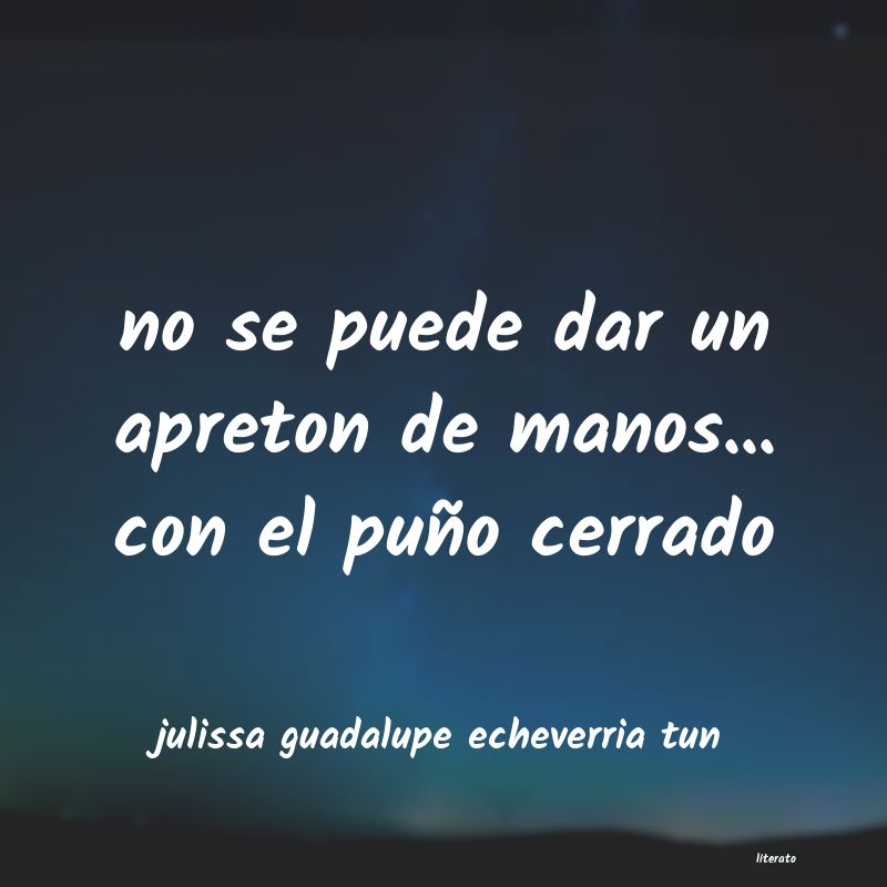 Frases de julissa guadalupe echeverria tun