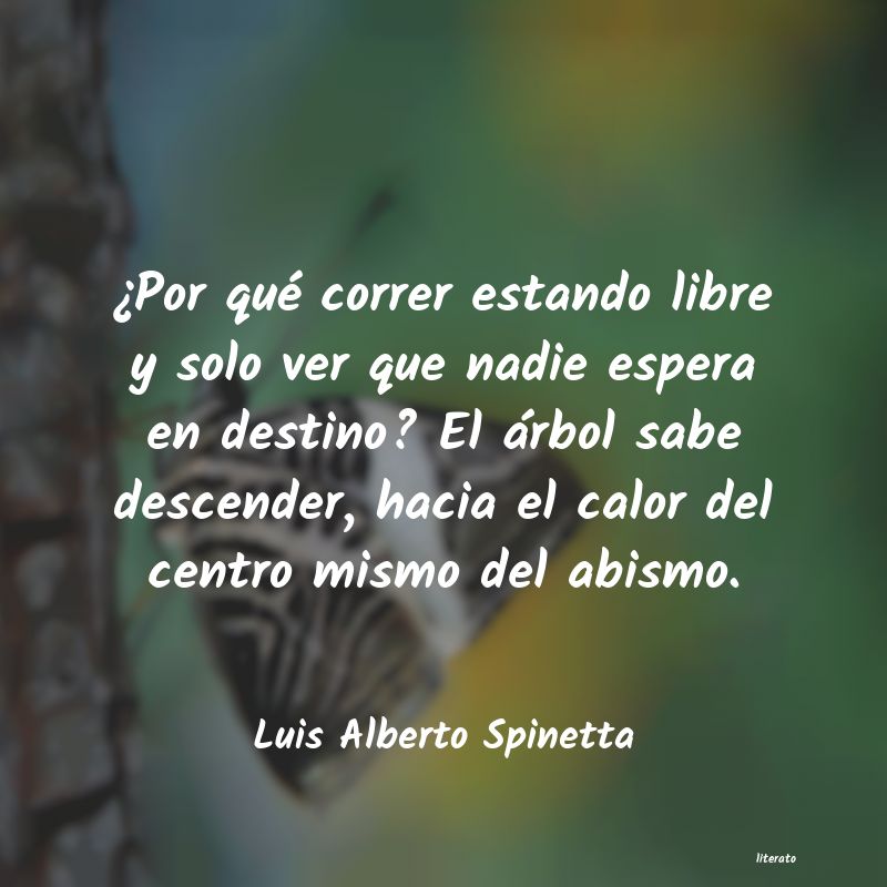 Frases de Luis Alberto Spinetta