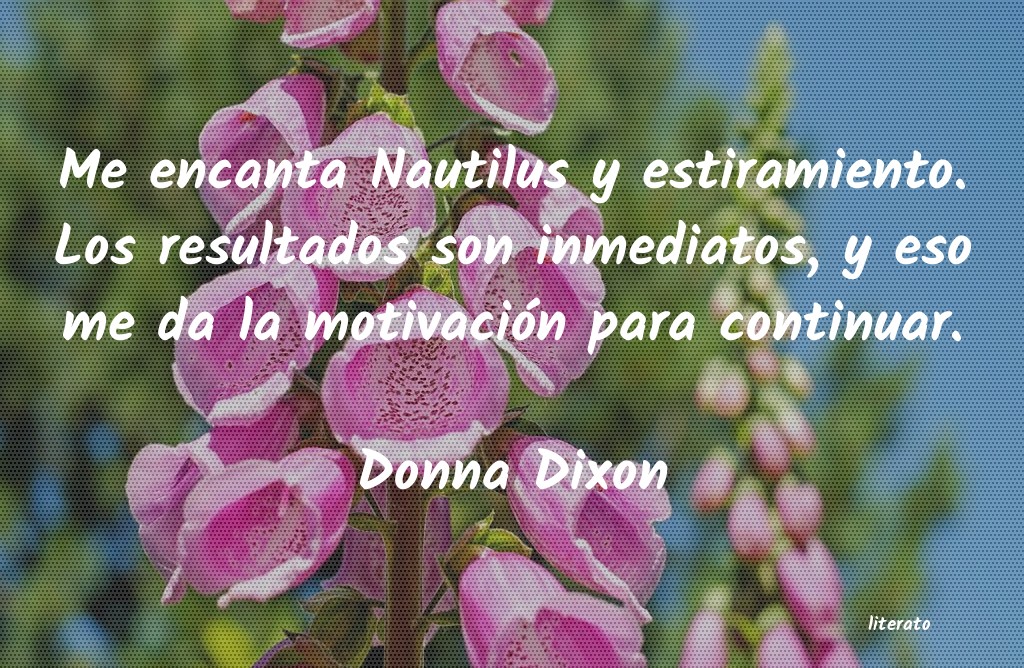 frases de Donna Dixon