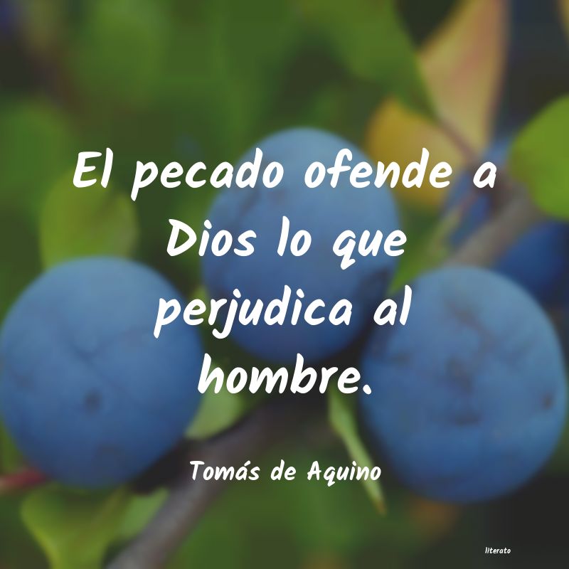 Frases de Tomás de Aquino