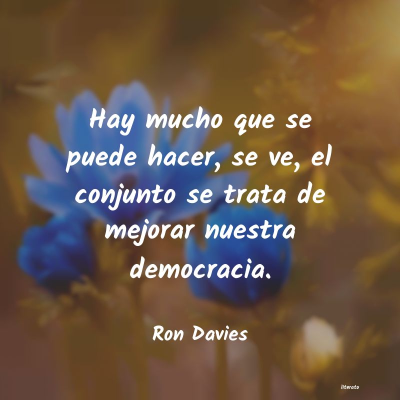 Frases de Ron Davies