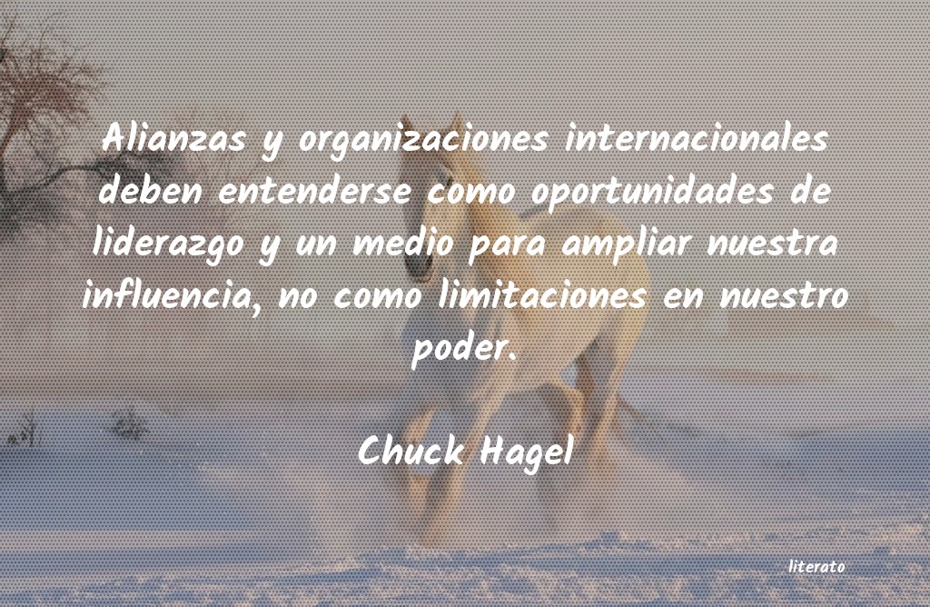 frases de Chuck Hagel