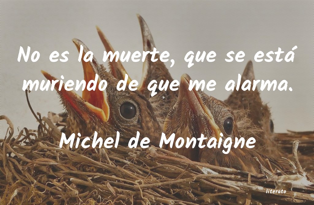 frases de Michel de Montaigne