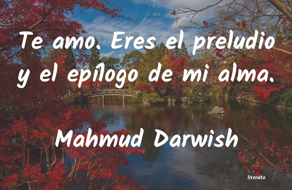 frases de Mahmud Darwish