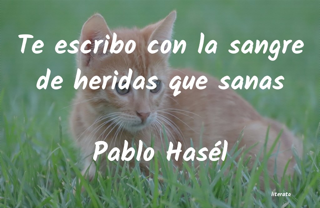 Frases de Pablo Hasél